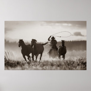Póster Fotografía en blanco y negro de un Cowboy