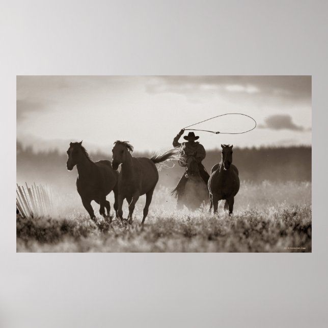 Póster Fotografía en blanco y negro de un Cowboy (Frente)