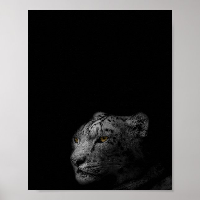 Póster Fotografía en blanco y negro del Leopard (Frente)