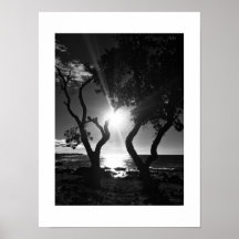 Fotografía en blanco y negro iluminada por el sol 
