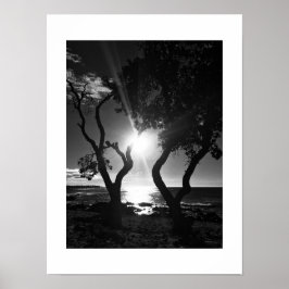 Póster Fotografía en blanco y negro iluminada por el sol 