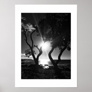 Póster Fotografía en blanco y negro iluminada por el sol 