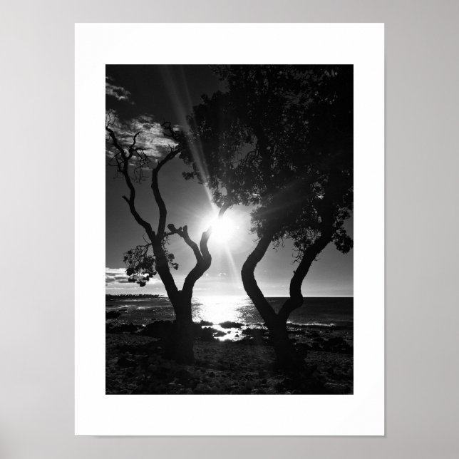 Póster Fotografía en blanco y negro iluminada por el sol  (Frente)