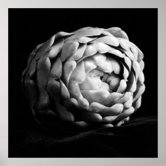 Póster Fotografía en blanco y negro por Artichoke Close