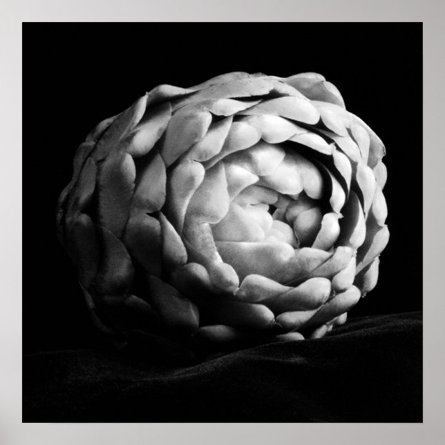 Póster Fotografía en blanco y negro por Artichoke Close (Frente)