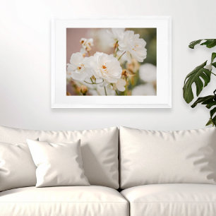 Póster Fotografía floral botánica de rosas blancas de la 