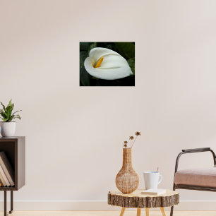 Póster Fotografía Floral de Calla blanca Lily