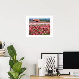 Póster Fotografía floral de Campos de Tulipanes Rosados