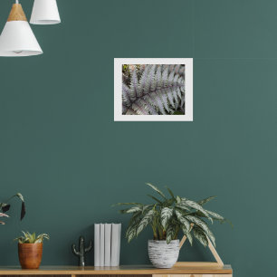 Póster Fotografía floral de Fern pintada en japonés