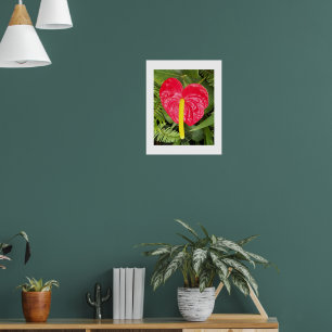 Póster Fotografía Floral De Flor Rojo Laceleaf