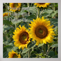 Fotografía girasoles en la naturaleza personalizad