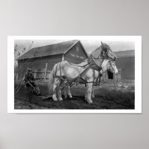 Póster Fotografía histórica de la granja de la fila del