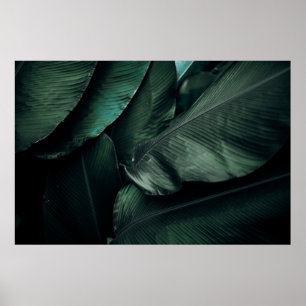 PÓSTER FOTOGRAFÍA MACRO DE HOJAS VERDES