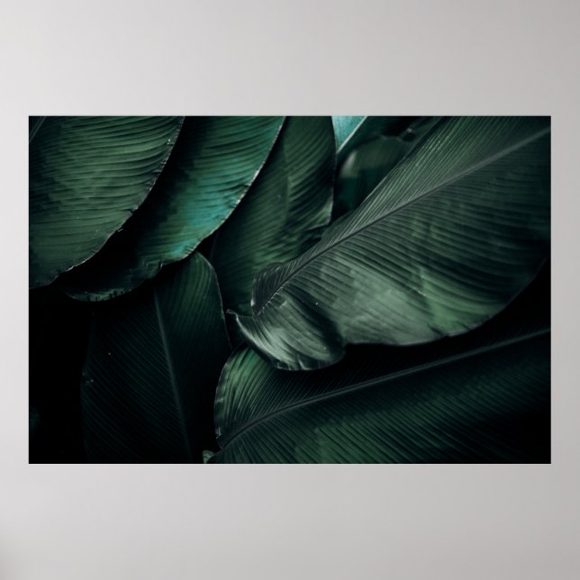 PÓSTER FOTOGRAFÍA MACRO DE HOJAS VERDES (Frente)