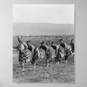 Póster Fotografía maorí de la danza de guerra