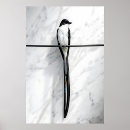 Póster Fotografía minimalista de pájaro en alambre