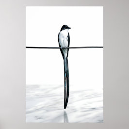 Póster Fotografía minimalista de pájaro en alambre