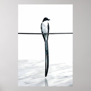 Póster Fotografía minimalista de pájaro en alambre