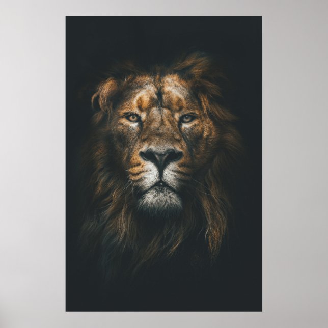 Póster Fotografía moderna de León (Frente)