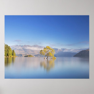 Póster Fotografía paisajística de Wanaka Tree New Zealand