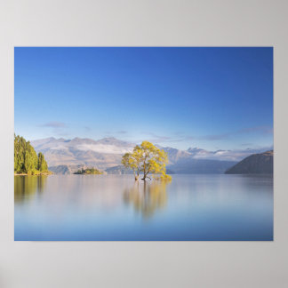 Póster Fotografía paisajística de Wanaka Tree New Zealand
