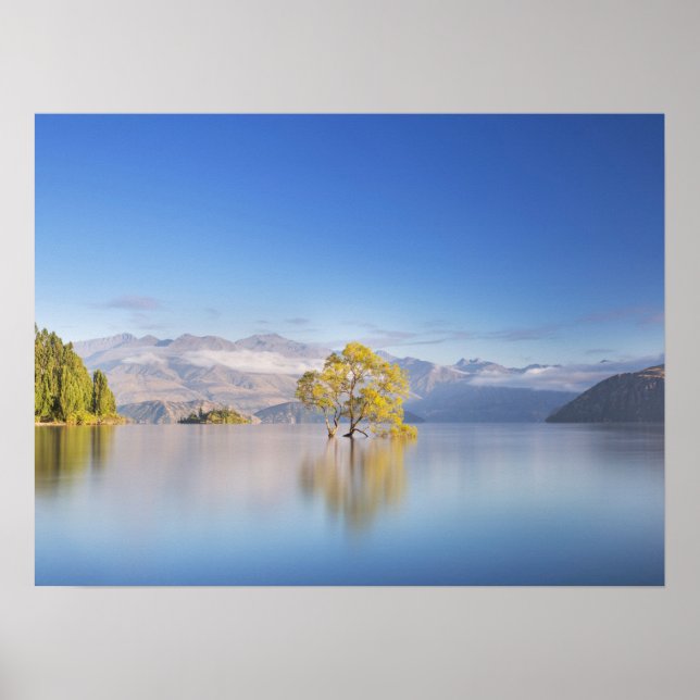 Póster Fotografía paisajística de Wanaka Tree New Zealand (Frente)