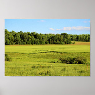 Póster Fotografía panorámica