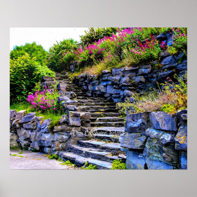 Póster Fotografía panorámica de Dun Laoghaire, Irlanda (Frente)