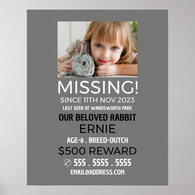 Póster Fotografía personalizada, desaparecido, Mascota pe (Frente)