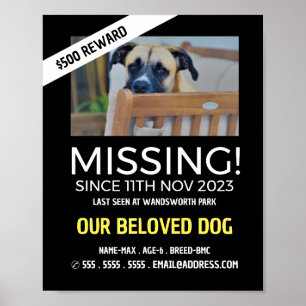 Póster Fotografía Personalizada, Mascota Perdida