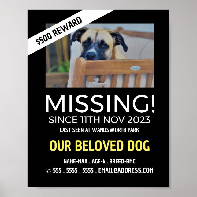 Póster Fotografía Personalizada, Mascota Perdida (Frente)