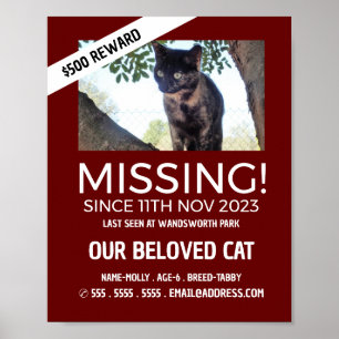 Póster Fotografía Personalizada, Mascota Perdida, Desapar