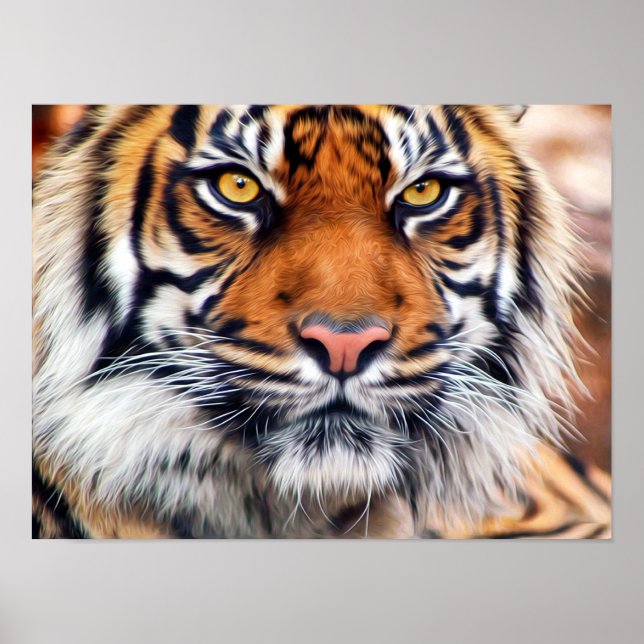 Póster Fotografía pintada de tigre siberiano macho (Frente)