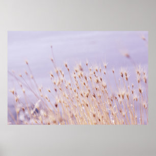 PÓSTER FOTOGRAFÍA SELECTIVA DE FOTOGRAFÍA DE GRASS FIELD