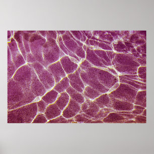 Póster Fotografía submarina de arena