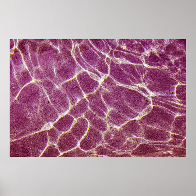 Póster Fotografía submarina de arena (Frente)