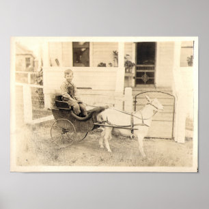 Póster Fotografías tempranas de los niños, punto 04