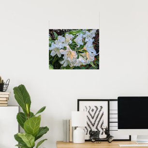 Póster fotográfico de flor de lirio blanco en flor