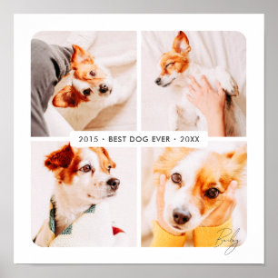 Póster Fotos Colage Moderno del Mejor Perro Memorial