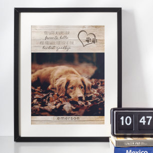 Póster Fotos conmemorativas rústicas para perros