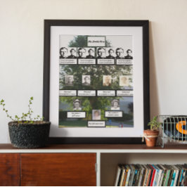 Póster Fotos de árbol de la familia Elm de verano de cuat