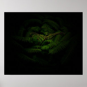 Póster Fotos de Fern Bella Artes