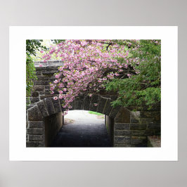 Póster Fotos de Flor de Cerezo y Puente de Piedra