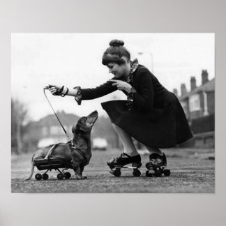 Póster Fotos de perros vintage Dachshund Perros mascota r