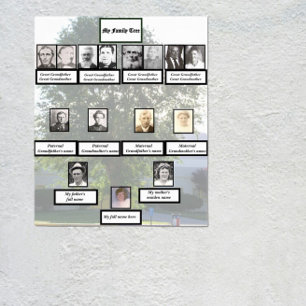 Póster Fotos del árbol genealógico de cuatro generaciones
