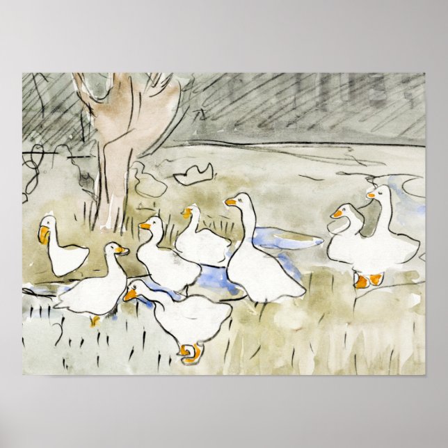 Póster Fotos del pato blanco dibujadas a mano Clipart Fam (Frente)