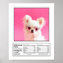 Fotos personalizadas de perros reproducen hechos d