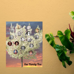Póster Fotos redondas con árbol de flor blanca y puesta d