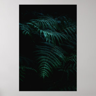 PÓSTER FOUGERES