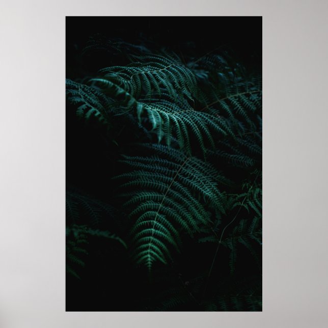 PÓSTER FOUGERES (Frente)